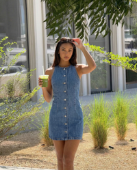 Tabitha | High Neck Cutaway Shoulder Button-Front Vertical Seam Denim Mini Dress