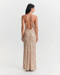 Louisa | Sequin Split Maxi Dress