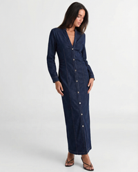 Celeste | Button-Front Fitted Denim Maxi Dress