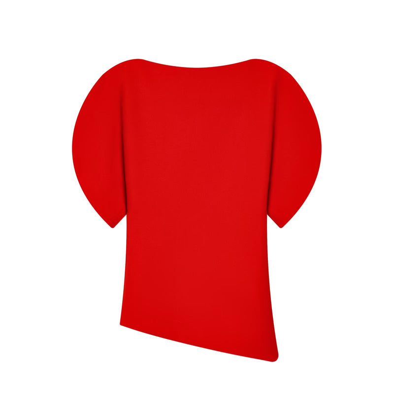 Daisy | puff sleeve top