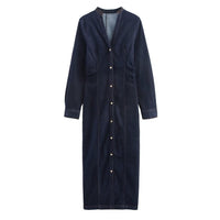 Celeste | Button-Front Fitted Denim Maxi Dress