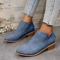 Delfina pointed toe ankle boots in Blue