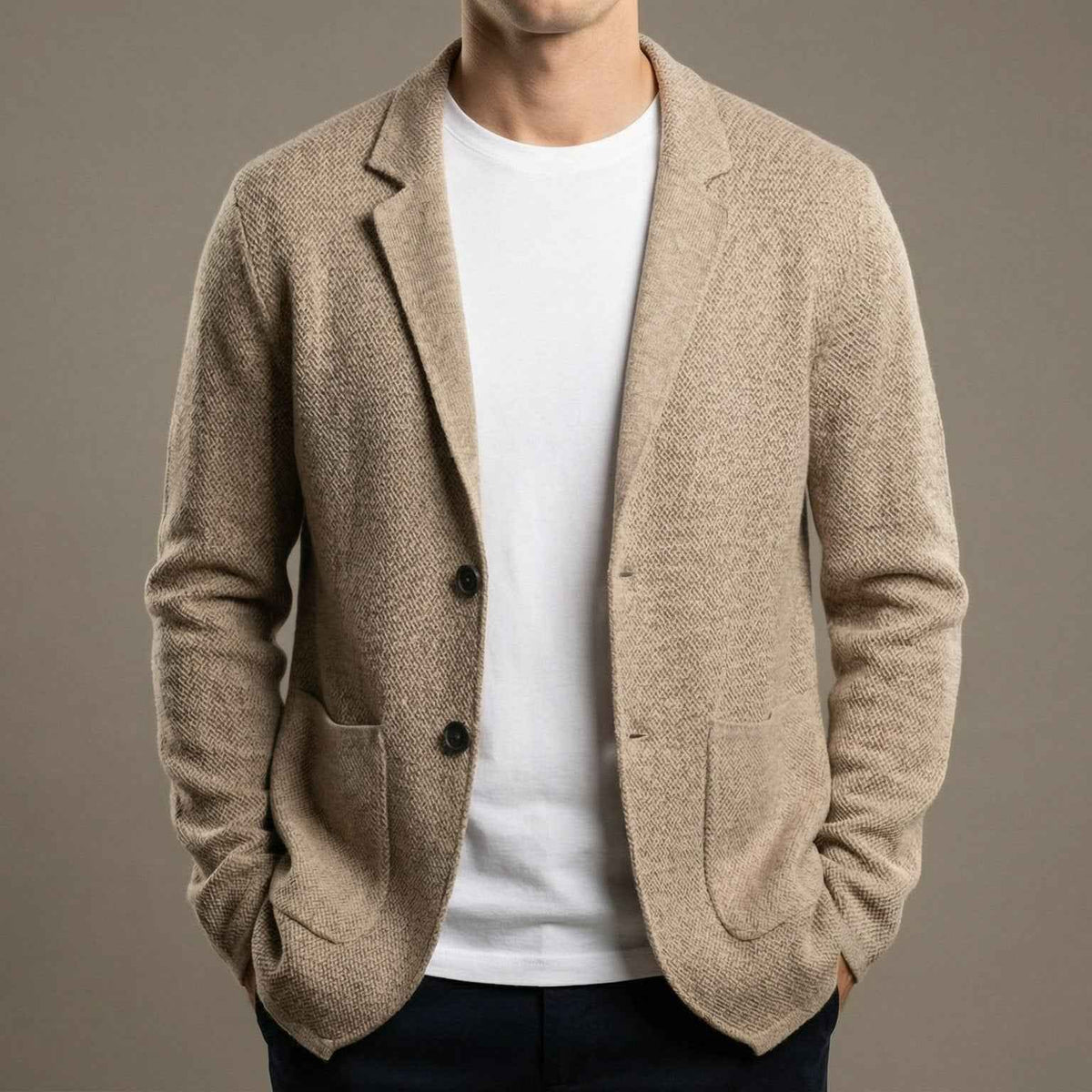 Ash | Men's Casual Knit Blazer Two Button